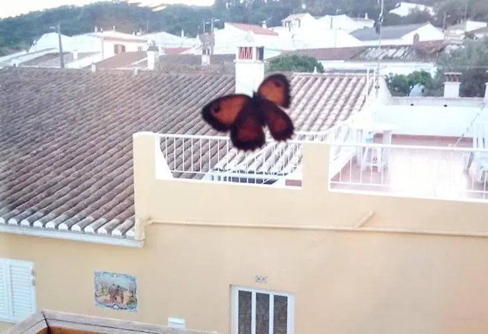 Casa Galesa Tatil Evi
